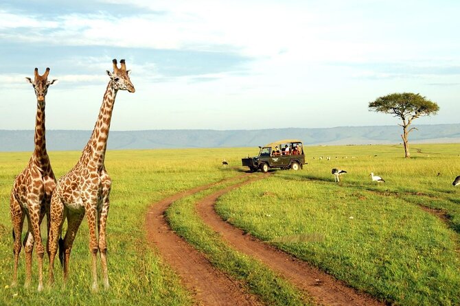 4 Day Private Garden Route Safari from Cape Town - Who should book this four-day route?