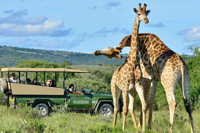 4 Day Private Garden Route Safari from Cape Town - My verdict: impressive range, demanding pace