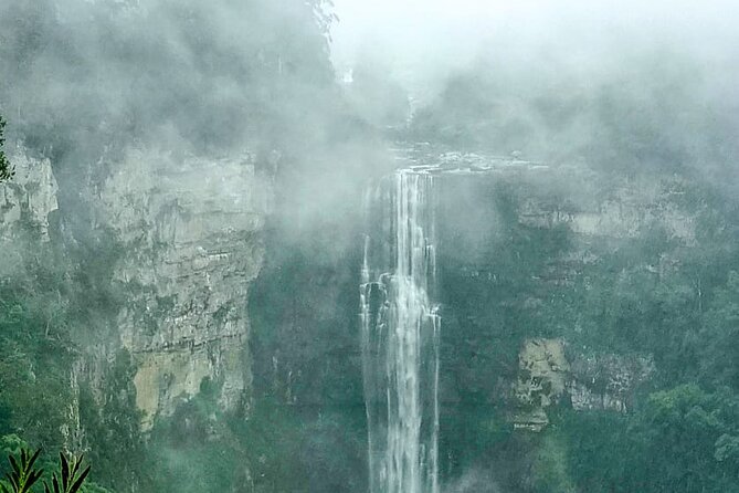 4-Day Private Natal Midlands Falls to Falls Tour - Day three: bird hides, zip lines, and cream tea