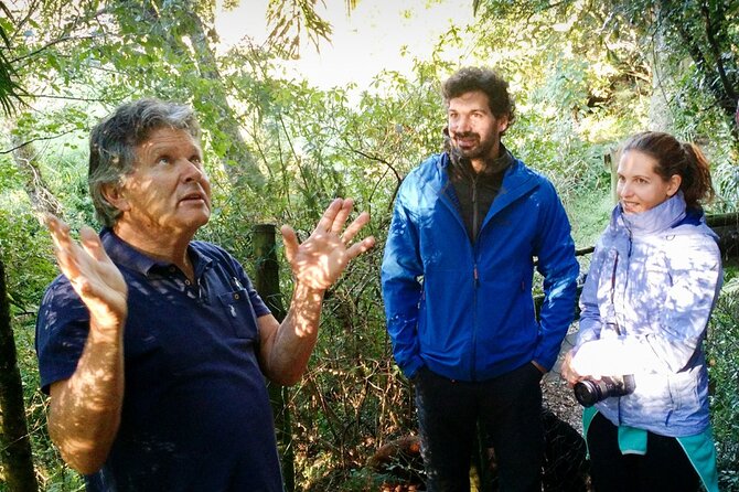 4-Day Private Natal Midlands Falls to Falls Tour - What the private format adds