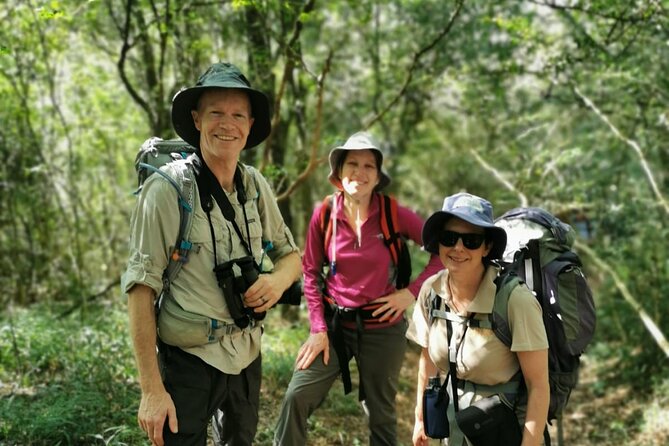 4-Day Private Natal Midlands Falls to Falls Tour - Food, accommodation, and the value of $450.08