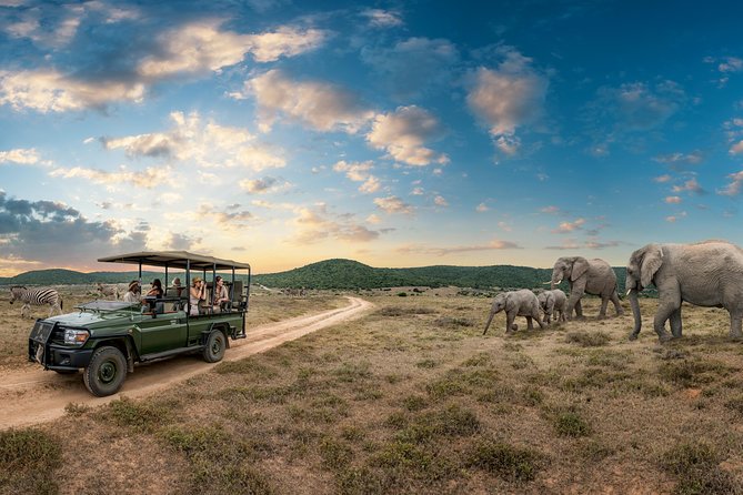 4 days Kruger Park Big 5 Safari and Awesome Panorama Route - Day 2: A boat trip before entering Kruger