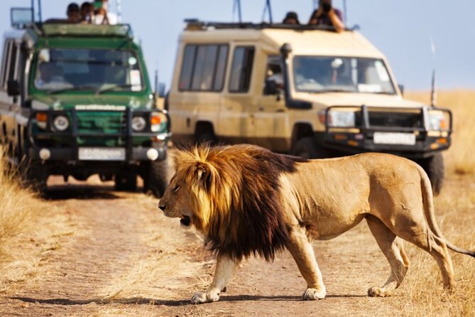 4 Days Private Tour at Kruger National Park & Blyde River Canyon - Key points at a glance