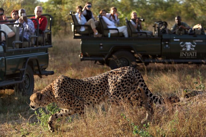 4 Days Radisson Kruger Safari Tour from Johannesburg - Day 3: Stone, water, and wide views on the Panorama Route