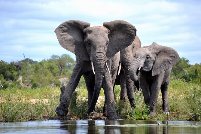 4 Night Kruger safari and Blyde Canyon - Is $2,164.60 per person good value?