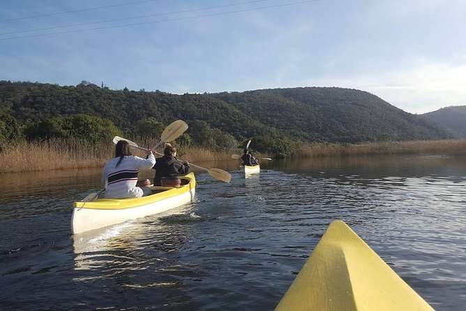 5 Day Cape to Addo Safari - Garden Route Small Group Tour - Day 5: Oudtshoorn and the Cango Caves