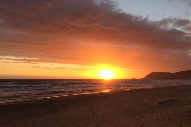 5 Day Cape to Addo Safari - Garden Route Small Group Tour - Guides, group style, and the social side