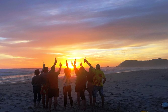 5-Day Garden Route & Addo Adventure from Cape Town to Port Elizabeth - Day 4: Tsitsikamma’s forest, coast, and suspension bridge