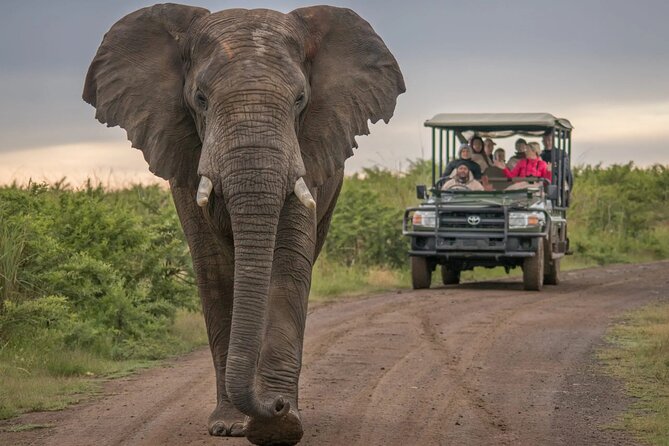 5 Day Garden Route and Addo Safari - Best of South Africa Small Group Tour - Is five days enough for the Garden Route?