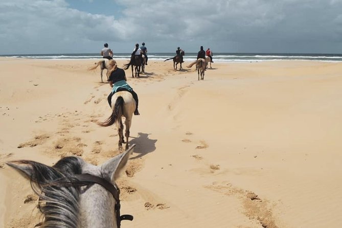 5 Day Garden Route and Addo Safari - Best of South Africa Small Group Tour - Day 4: Tsitsikamma forest and the Garden Route coast