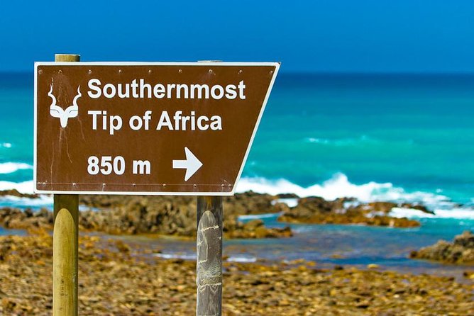 5 Day Garden Route Tour - Port Elizabeth to Cape Town - Day 2: Four hours in Tsitsikamma National Park