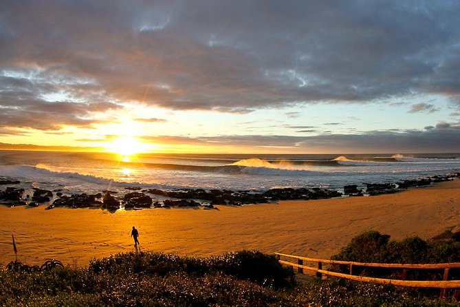 5 Day Garden Route Tour - Port Elizabeth to Cape Town - The guide, group size, and daily rhythm