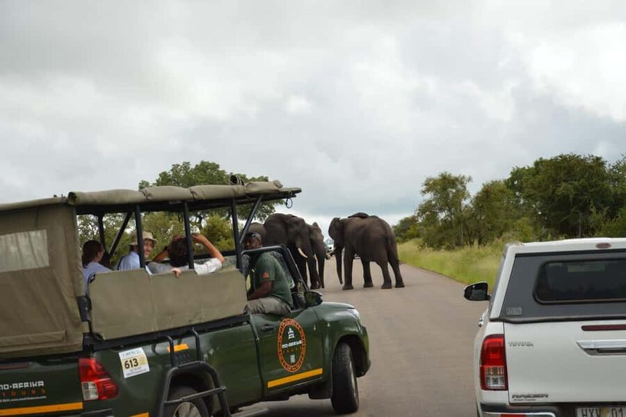 5 Day Kruger Glamping Budget Adventure - Value, costs, and who should book