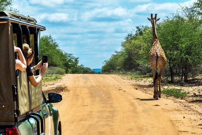 5 Day Kruger National Park and Panorama Route Safari - Day 1: The early Johannesburg departure