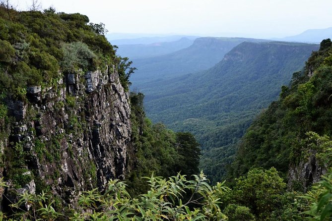 5 Day Kruger National Park and Panorama Route Safari - Day 4: More safari time in Skukuza