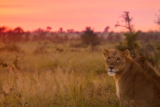 5 day-Kruger National Park Safari from Kruger Int. Airport (KMI), Panorama Route - What the $1,675 price really covers