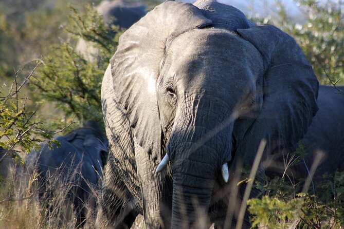 5 Day Kruger National Park tour - Camp life near Klaserie Dam