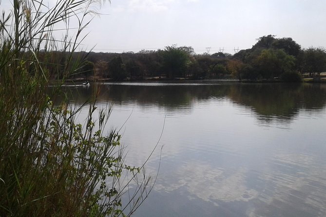 5 Day Kruger National Park tour - Day five: small tracks before the trip home