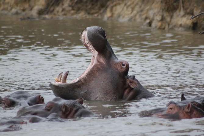 5 Day Kruger National Park tour - What the $1,083.06 price really covers
