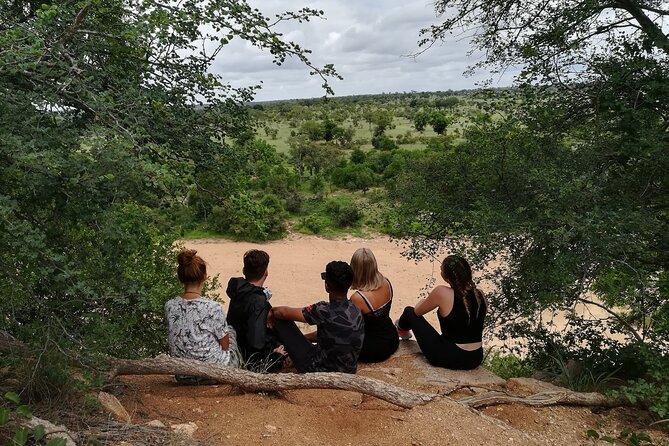 5 Day Kruger National Park tour - Day one: a sunset safari and your first look at the bush