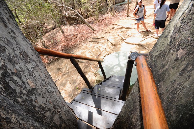 5 Day Lodge and Treehouse Kruger National Park Safari - Day four: a full Kruger day with more chances