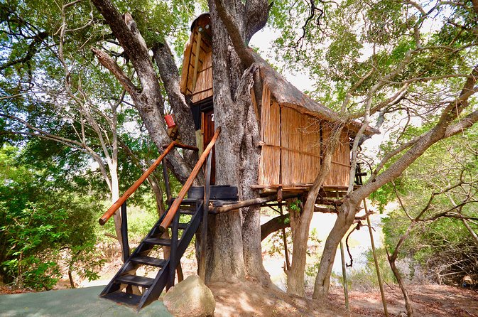 5 Day Lodge and Treehouse Kruger National Park Safari - Food, accommodation, and daily comfort