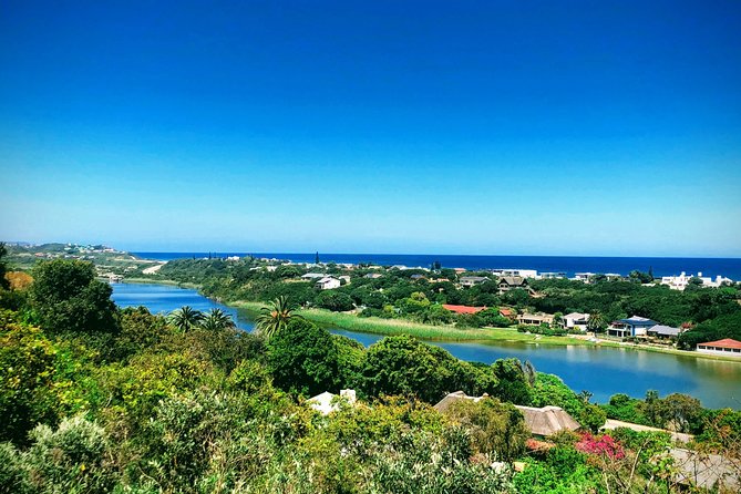 5 Days Private Guided Tour in Garden Route - Day 3: Plettenberg Bay, animal sanctuaries, and serious adventure