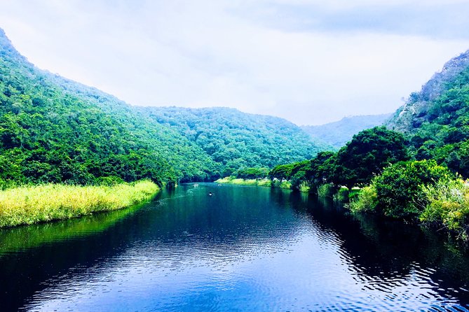 5 Days Private Guided Tour in Garden Route - Day 4: Tsitsikamma Forest and Storms River