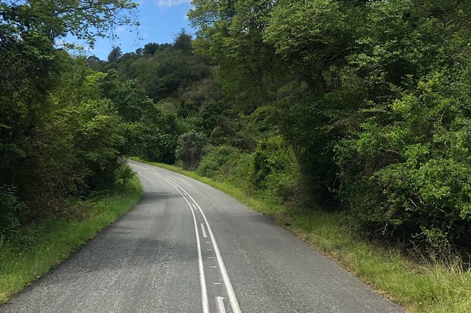 5 Days Private Guided Tour in Garden Route - Day 5: Oudtshoorn, the Outeniqua Pass, and Route 62