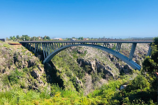5 Days Private Guided Tour in Garden Route - What the $2,050.59 price really covers
