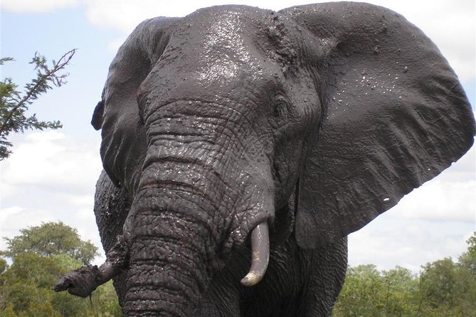 5Days Blyde River Canyon and Kruger National Park Overnight Tour and Safaris - What the $1,388.66 price really covers