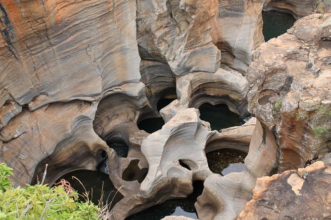 5Days Blyde River Canyon and Kruger National Park Overnight Tour and Safaris - Should you book the five-day safari?