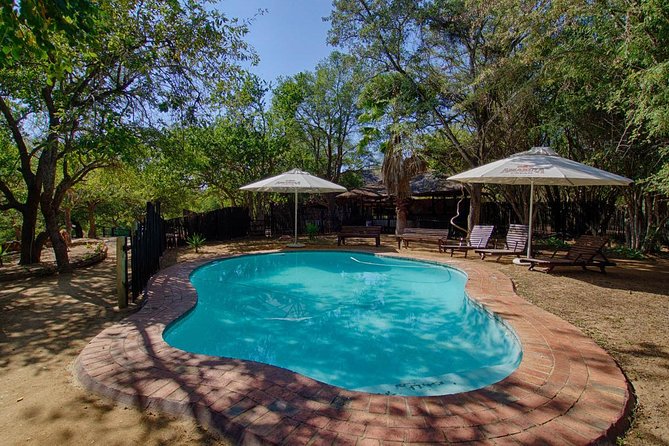 6 Day Budget Kruger National Park Safari - Day 3: A full day in Kruger National Park