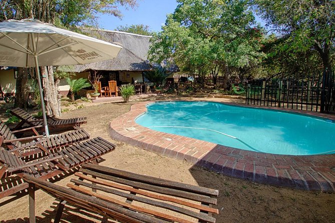 6 Day Budget Kruger National Park Safari - Day 5: Another full day in Kruger
