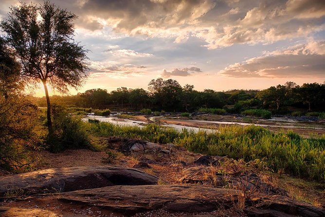 6 Day Budget Kruger National Park Safari - Day 6: A final walk and the Three Rondawels