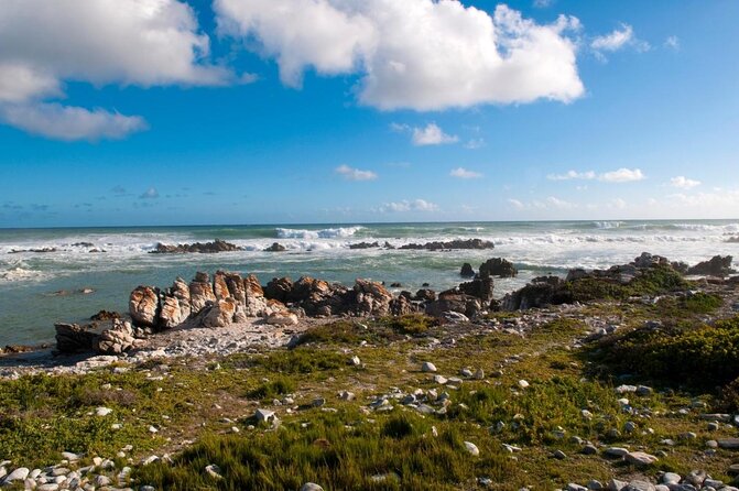 6-Day Garden Route & Addo South African Adventure from Cape Town - Key points to know before booking