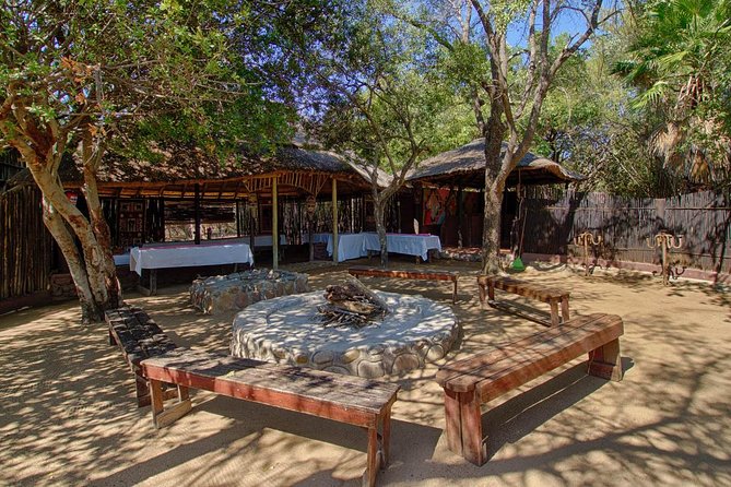 6 Day Lodge and Treehouse Kruger National Park Safari - Day 4: Moholoholo and an afternoon in Balule