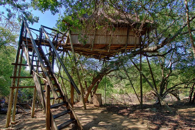 6 Day Lodge and Treehouse Kruger National Park Safari - Day 6: A final walk and the Three Rondawels