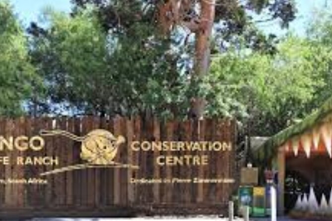 7- 10 Days Tour Package Cape Town and Garden Route - Day 4: The long road to Wilderness