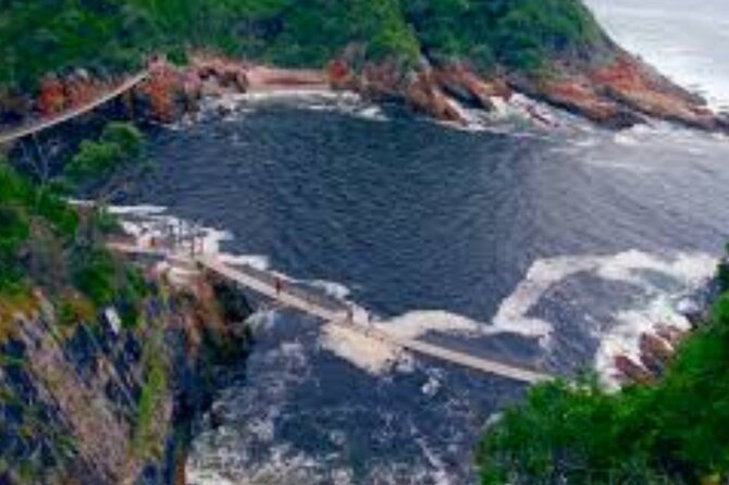 7- 10 Days Tour Package Cape Town and Garden Route - Day 6: Tsitsikamma, Bloukrans, and elephants