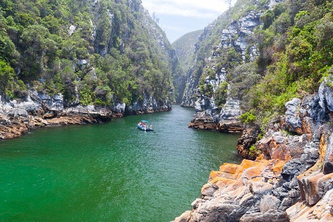 7-day Cape Town, Winelands, Garden Route and Addo National Park - Key details that shape the experience