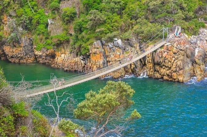 7-Day Garden Route Safari Adventure from Cape Town - Day 4: Mossel Bay marine activities and George strawberries