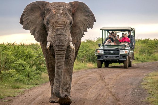 7 Day Garden Route to Addo, Cape Point and Winelands Combo tour - Day 2: Ostriches and the Cango Caves