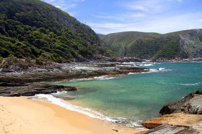 7 Day Garden Route to Addo, Cape Point and Winelands Combo tour - Day 5: A final safari option and the long return to Cape Town
