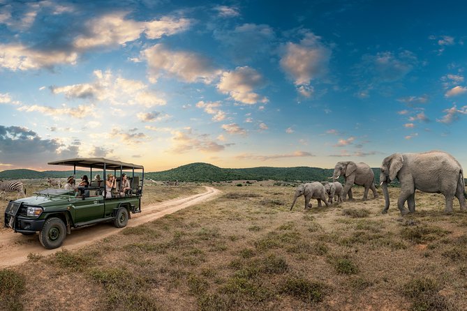 9 day Luxury Kruger Park Safari & Cape Town Tour - Day 2: the Panorama Route and Blyde River Canyon