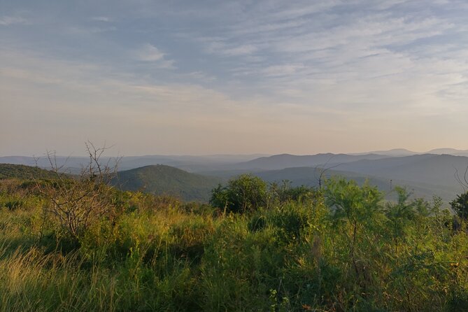 A Full Day Safari Tour to the Hluhluwe Imfolozi Big 5 Game Reserve - Key points to know before booking