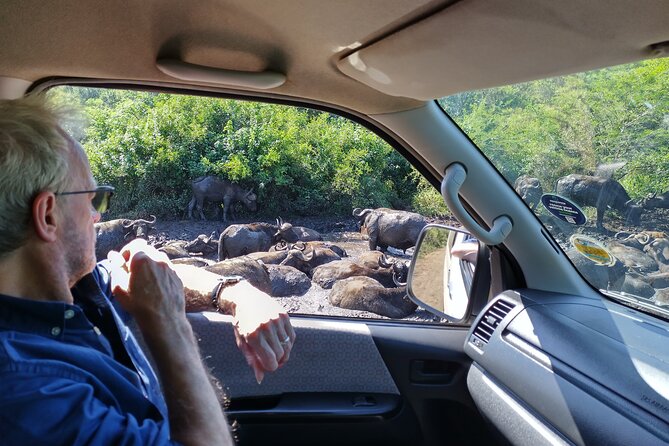 A Full Day Safari Tour to the Hluhluwe Imfolozi Big 5 Game Reserve - Who should book this safari?