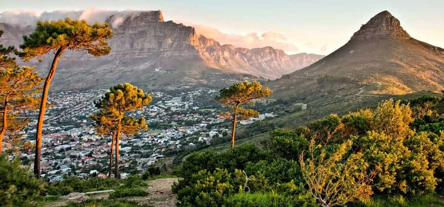 A private Hiking Tour to Lion's Head, Sign Hill, and Bo-kaap - What the guide adds to the day