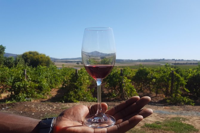 A Visit To Stellenbosch Franschoek Paarl Wineries From Cape Town Full Day - Key points to know before booking