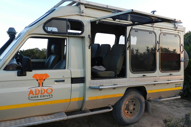 Addo Elephant 5 hour Morning Safari. - Why this five-hour Addo safari works well